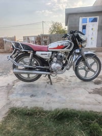 مطور جني • ٢٠٢٣ • مامفتوح