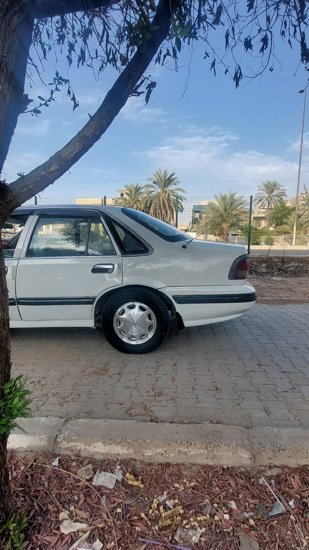 عشاق البرنس النظيف وفلوسك على كدك مال جناي✌️ يتابع التفاصيل ويدلل 

السلام عليكم (( للبيع )) 

دايو برنس 1995 لون ابيض رقم بغداد دولي باسمي هزه وسنوية جديده 30 شرط التحويل 

السيارة ولله الحمد جاهزة 
مكينه مفتوح لاتنقيص لاتبخير وناعمه جدا تراي ومعدل  وكير خير من الله دواخلها والبطاين نظيفات 

صدر امامي خلفي نظيف جدا تخم تاير نظيف 

 الكهربائيات شغاله لايتات زينون نهار / جامات تصعد وتنزل كهربائيه التبريد عاطل 

السياره حلوه ونصبتها مرتبه صبغ عام للجماليه  بدون ضربه قوية 

* العنوان :- بغداد / قرب مرور الكاظميه 
* للاتصال :- ***********
* السعر :- ٣٥ ورقة وبيها مجال للطيبين

بعد الفحص والقناعه التامه احول السياره مباشرة للامانه سياره كلش متعوب عليها وترايها حلو وبالعافيه على صاحب النصيب ❤️