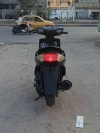 سكنس • ياباني • اوراق كامله