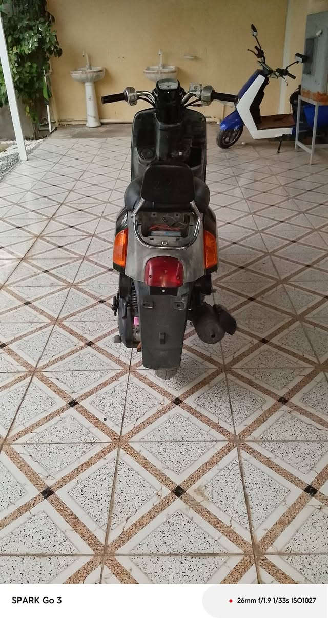 ماكس • بوليس • بلاديه