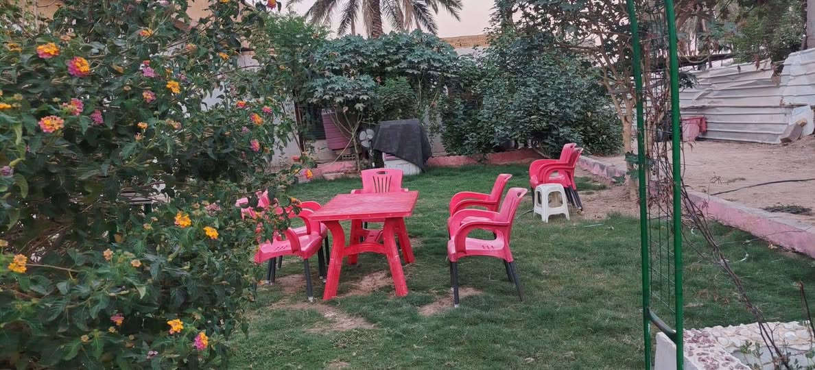 السلام عليكم جميعآ ورحمة الله وبركاته
نصف دونم مع دار كبير يحتوي على ٢ غرفه نوم + ٢ صاله كبير وصغيره  + مطبخ + استقبال صاله ضيوف + صحيات للزائرين عدد( ٤) ...+ دار صغيره تحتوي على غرفه نوم +  صاله + صحيات 
الأرض مخدومه تحتوي على  (١٠ )نخله كبيره   (١٠) نخله صغيره أصناف متنوعه 
المكان......... 
كربلاء المقدسة. قرب سيطره الابراهيميه شارع الرابط ٨٠ م عن الشارع موقع مميز 
الأرض  عقد ١١٧ باسمي رافع معامله 
الرقم ***********
