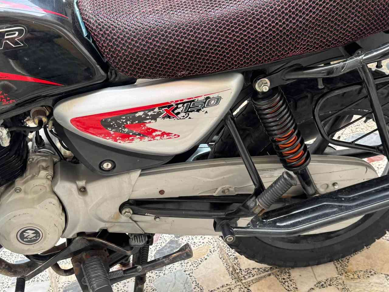 بوكسر • ٢٠٢٣ • جبلي