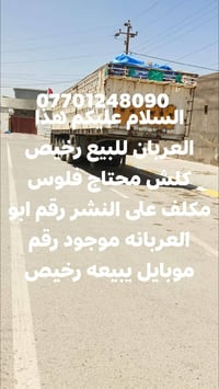 عربان • رخيص • مستعجل