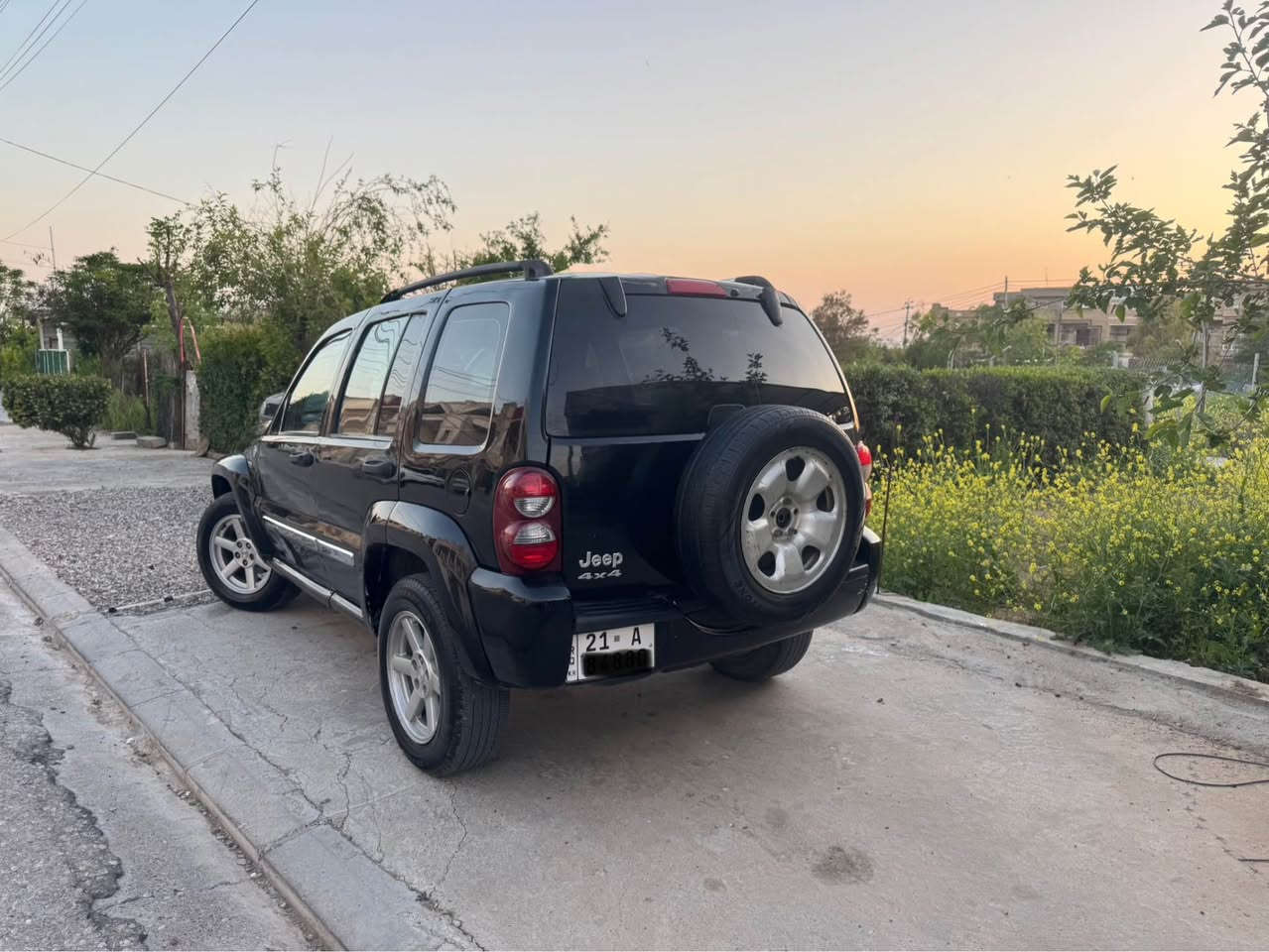 لبرتی • ٢٠٠٦ • توماتيك