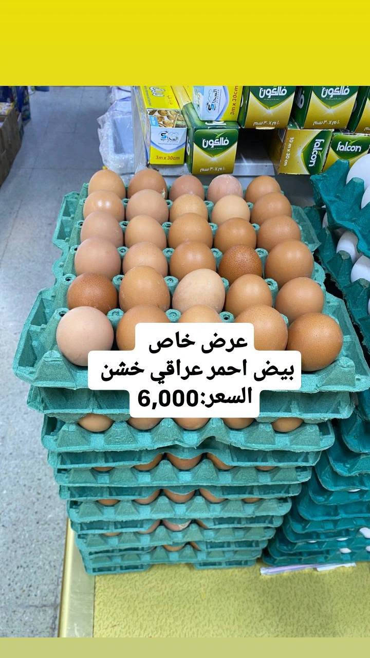 بيض أبيض عراقي • بيض أحمر عراقي • قيمر عرب أبيض