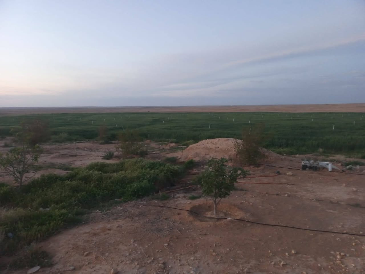 ١٠٠ دونم • غرب تيوان • بئر ماء