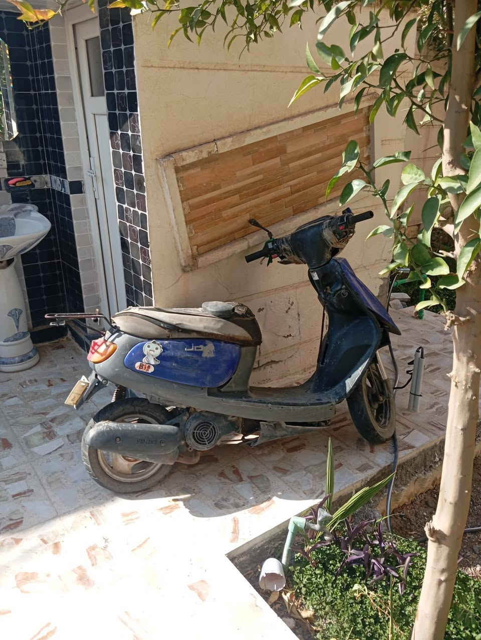 دراجة منغولي فحل كوم حديد للبيع بسعر 75 الف مكانها كربلاء سيف سعد الشراي يتصل على الرقم *********** موجود واتساب
