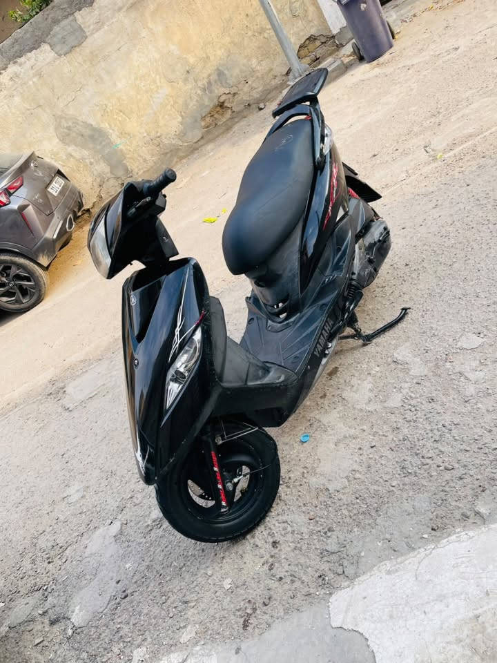 ثعلب • كفاله • زينون