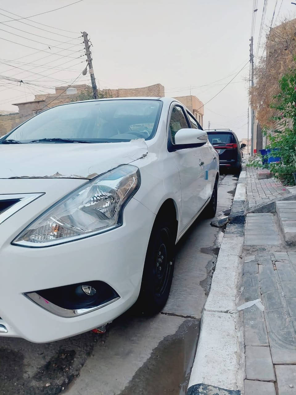 نيسان صني • ٢٠٢٥ • رقم اربيل