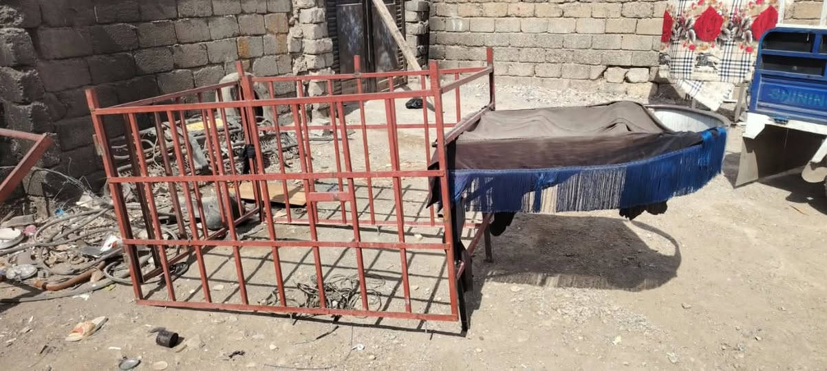 محجلات للبيع نضيفات وحلوات
***********
***********
