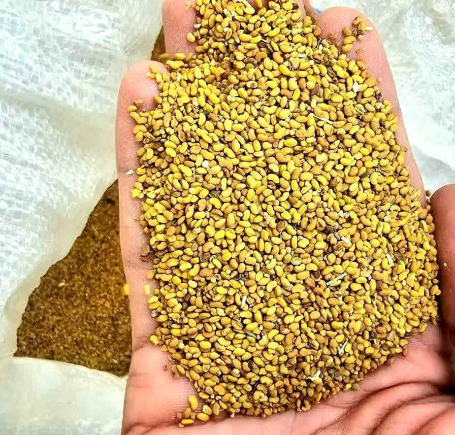 السلام عليكم ورحمة الله وبركاته
يوجد  جت  عراقي درجة أولى   سعر الكيلو 12 الف 
وبي مجال للياخذ كمية  و متوفر 60 كيلو حاليآ 

العنوان المقدادية منطقة الهارونية 
مقابل بانزينخانه سلامة  ( مكتب الغريب الزراعي ) 
أبو أيمن الجبوري / ***********

