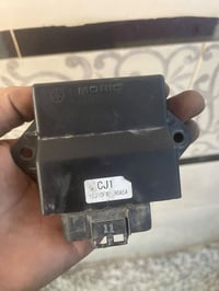 عقل سكنس فحل نوزل للبيع العنوان المشتل 07749788853