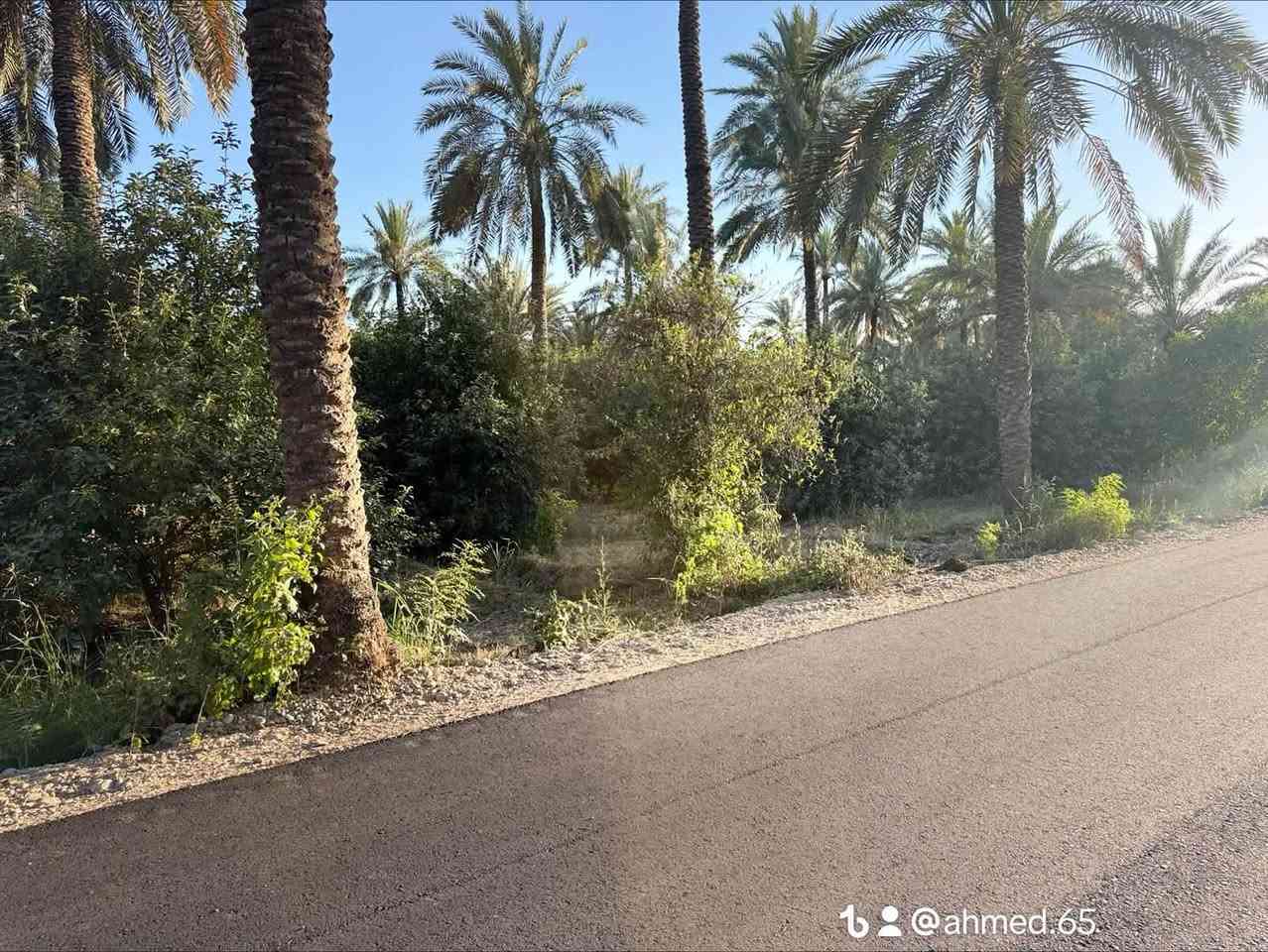 السلام عليكم 
دوانم للبيع منطقه التاجي اقل مساحة للبيع 500 متر سعر75 مليون لل500 متر سعر الدونم 300 مليون وتكدر تشتري 1000 متر طابو ملك صرف على طابو الكاظمية 
مخدومة ماء كهرباء مجاري تبليط
( طابو ملك صرف افتحلك بيان بطابو الكاظمية بلدونم ) 
مخدومة ماء كهرباء مجاري تبليط
للستفسار اتصل 

***********
***********

نص مكتوب في الصور:
- @ahmed.65