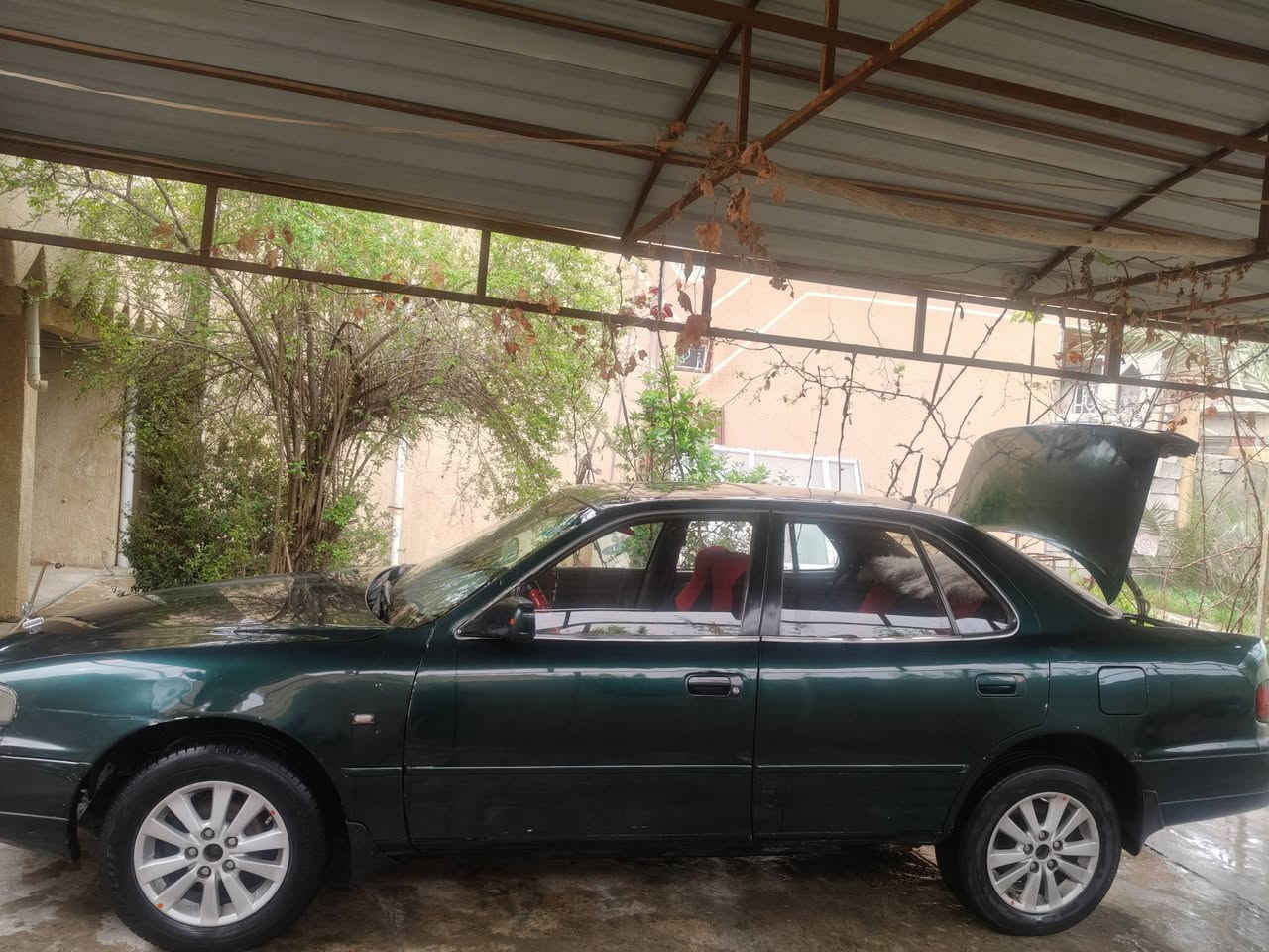 كامري 94 مصبوغة حزام جماليه فقط كير ومحرك شرط 4 سلندر شاشه لايت ثلجي اشاير بل جوانب جوم كهرباء قفل سنتر،لك كامله شرط،تحويل رقم بغداد مشروع وطني  ***********
