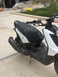 سكنس جبلي • ٢٠١٥