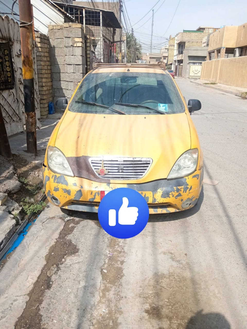 طيبة • ٢٠١٦ • الدوره