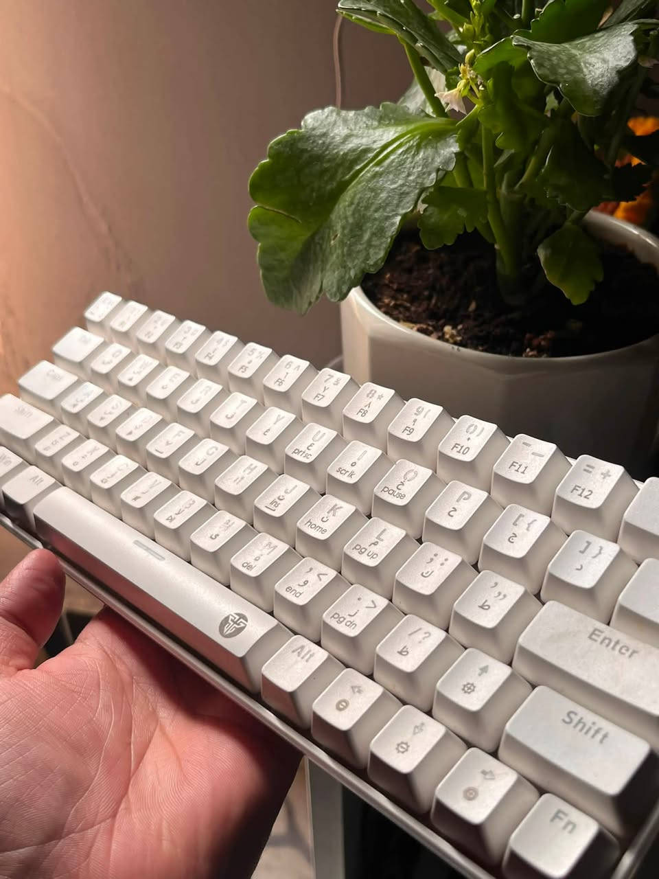 كيبورد ميكانيكي 60% مع لغة عربية 
Detachable Type-c cable 
Blue switch   
All keys anti gost
الوزن:566 غرام
الكيبورد قابل البرمجة
RGB
ومعاه كويل كيبل ايضاً من نفس الشركة 
البكج نضافته 95‎%‎ شبه الجديد استعماله اقل من 6 اشهر مكاني بصرة رقم ***********
السعر : خاص
