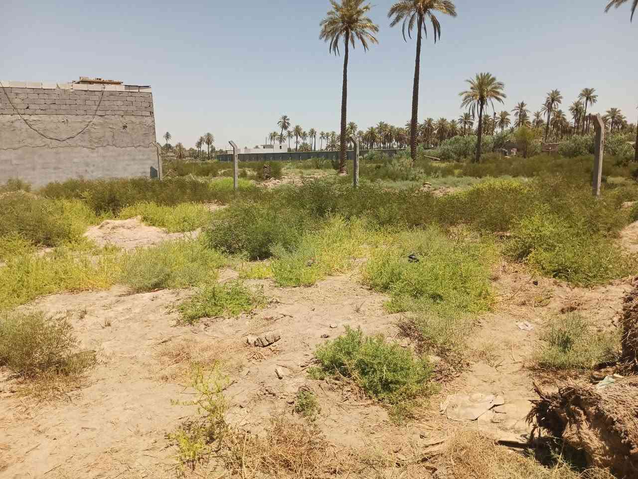 *********** السلام عليكم قطعه 300 متر للبيع العنوان طويريج كربلاء على على طريق الجوال قرار المحكمه سنه 25 قرب دهينه ابو علي الشهيره فرع الماء العارض كافه خدمات ماي وكهرباء مولده
