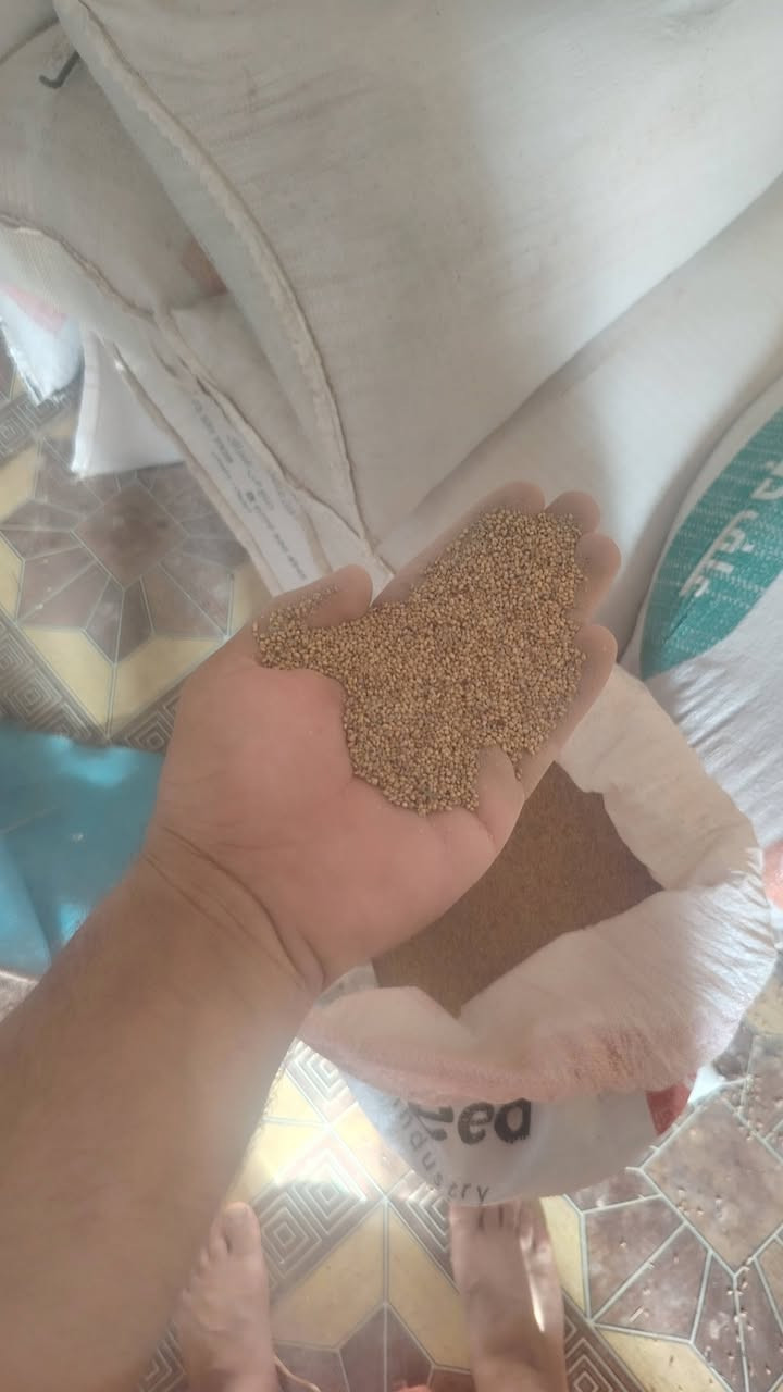 سلام عليكم موجود برسيم للبيع كميه خير من الله الاستفسار على هاذ رقم *********** المكان ديالى
