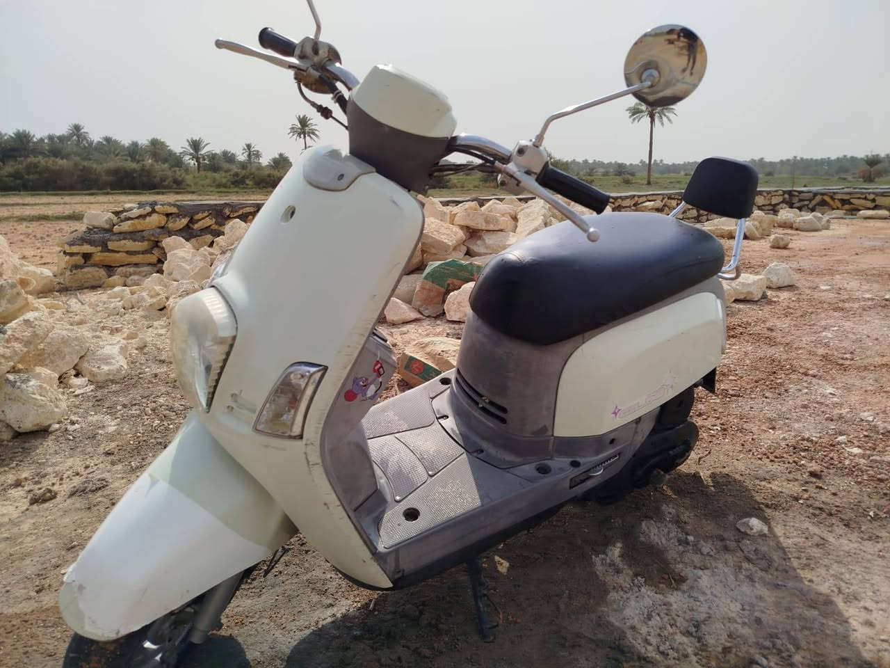 بوليس • ٢٠٠٨ • نجف