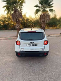 رينجيد • ٢٠٢٠ • رقم اربيل