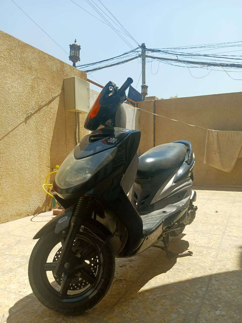 سكنس ياباني فحل للبيع***********مكاني كربلاء شهداء سيف سعد
