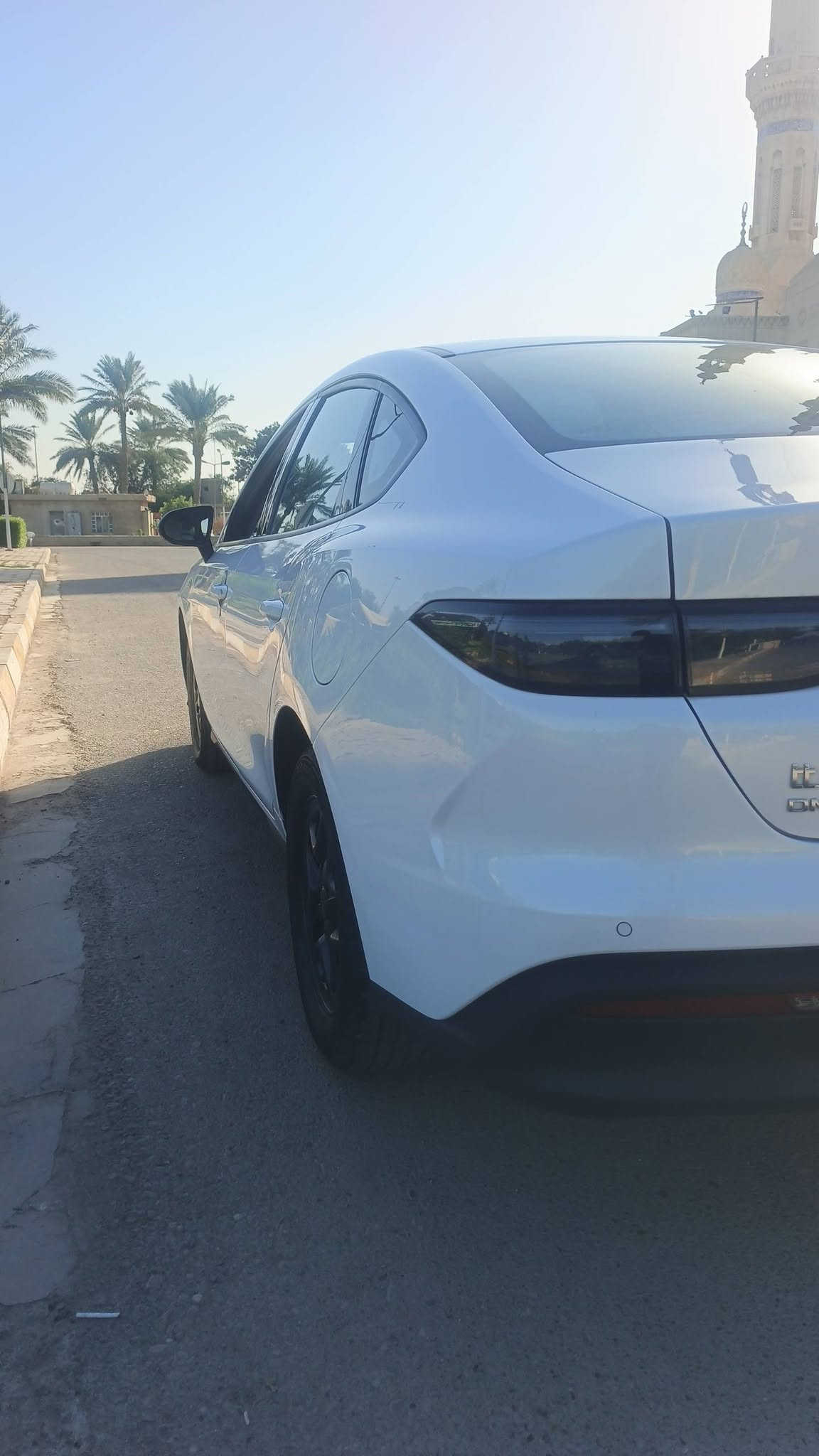 سيل 5 • ٢٠٢٥ • بغداد اليرموك