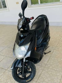 سكنس فحل • ياباني • نوزل خطين