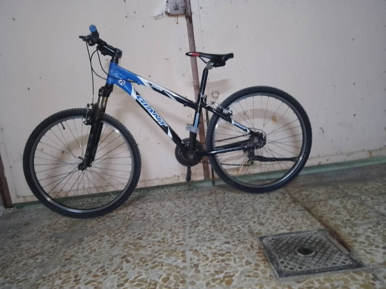 جينت • بايسكل رياضي • دبل عاطل
