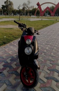 سكنس جبلي • نوزل • ٢٠١٣
