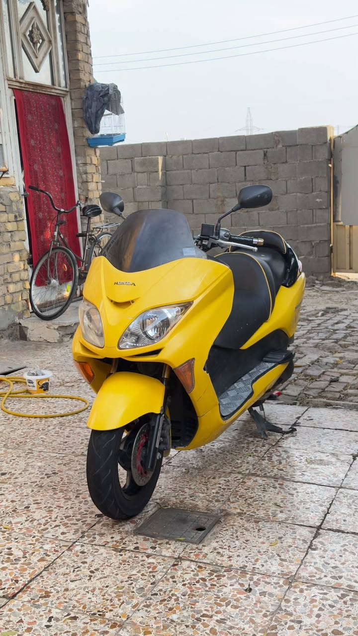 فورزا • معمره • ٢٠٠٨