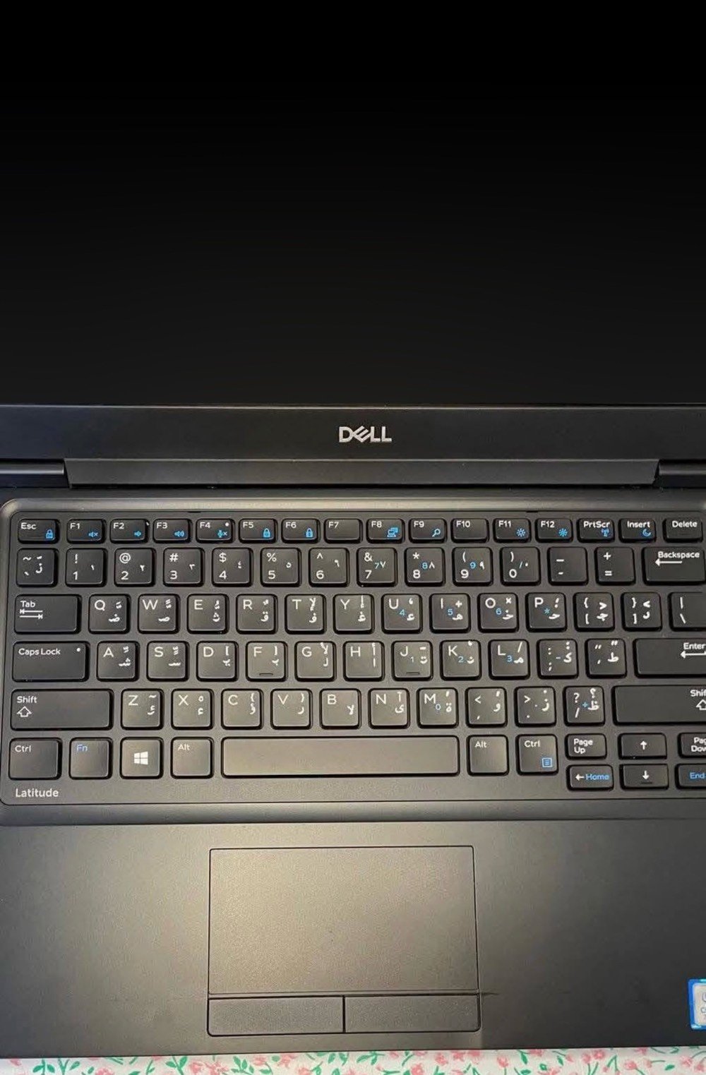 لاتيتيود 5480 • i5 الجيل السادس • ٢٥٦ جيجا SSD
