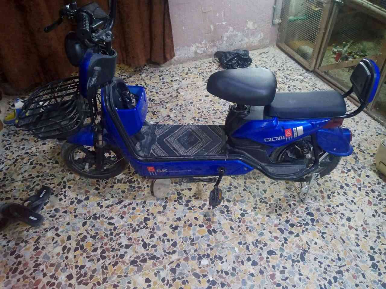 مكلف بالنشر
للبيع بغداد مدينة الصدر وهذا رقم راعيها ***********
