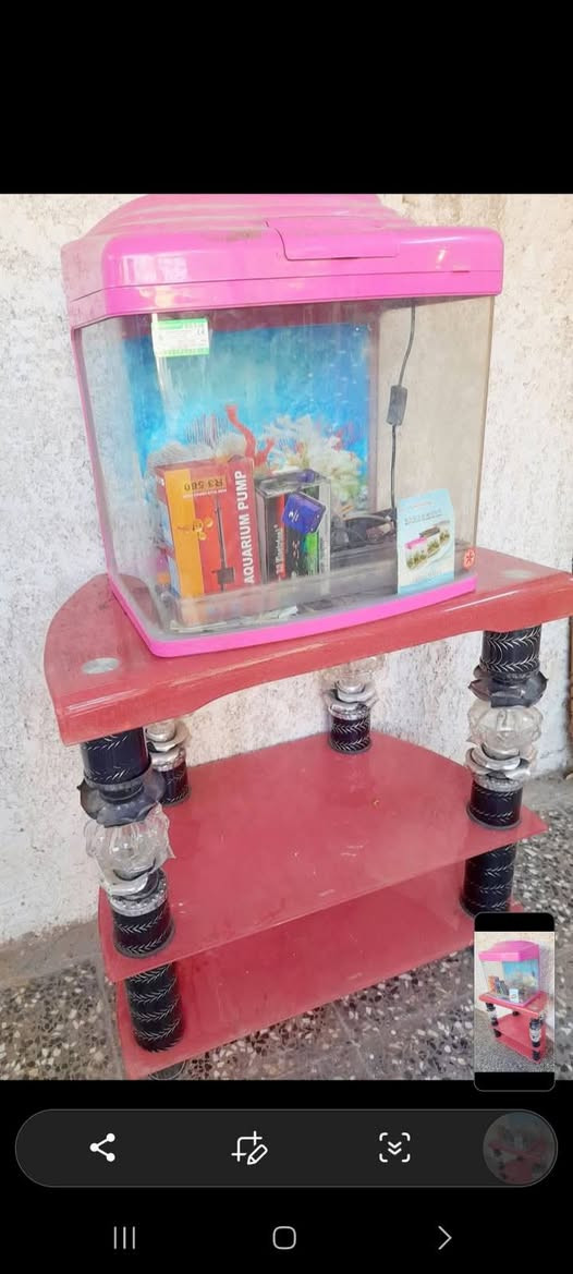 حوض أسماك الزينه بحالة جيده مع كامل الملحقات والميز أو الحامل الزجاجي مالته للبيع
 
مكاني شهداء البياع 
***********
