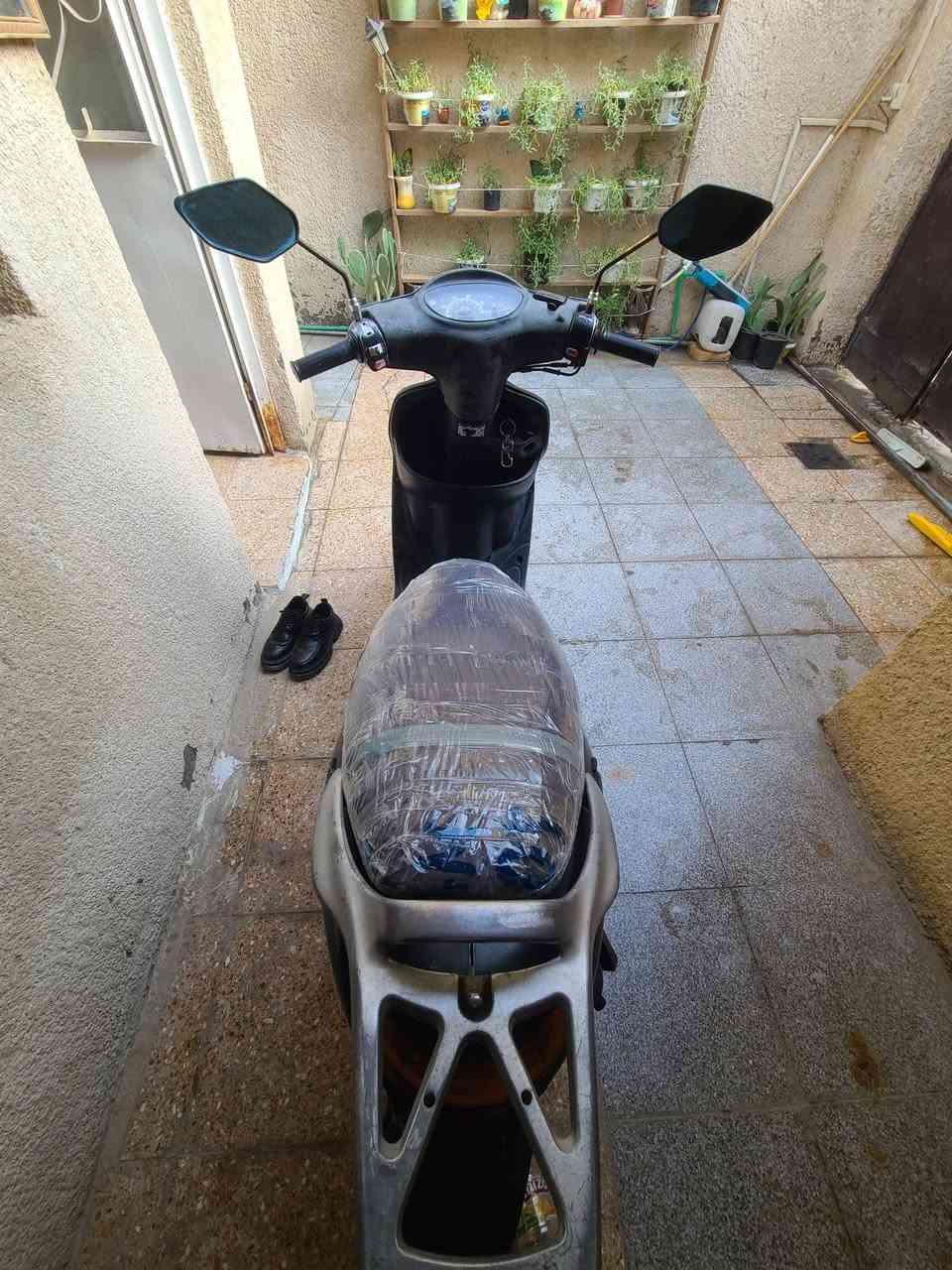 دولفين • ٣٧٥ • بالرميثة