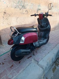 بوليسي • البصره • للبيع
