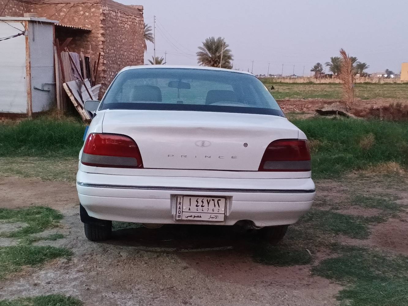 دايو برنس • تحويل ثاني يوم • نضيفه