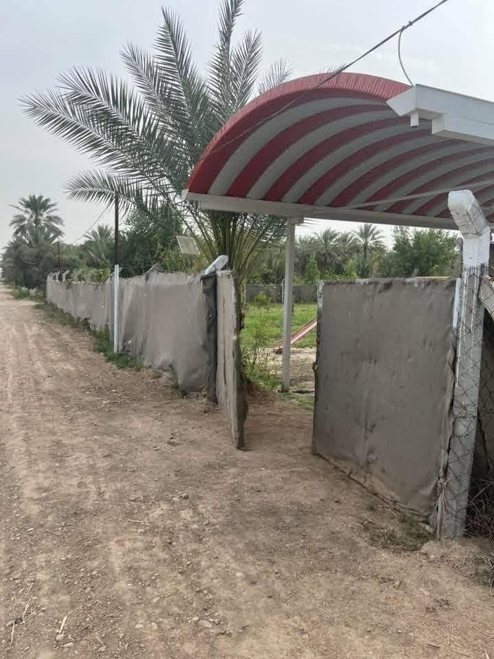 السلام عليكم
***********
