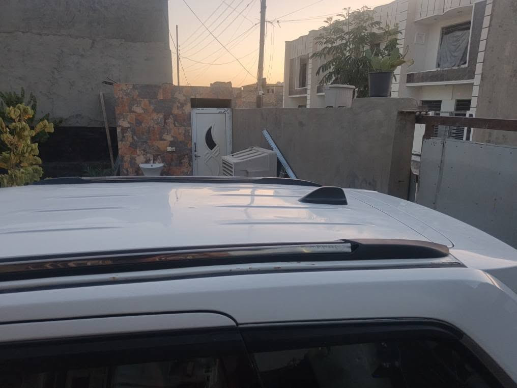 لاريدو • ٢٠١٤ • صبغ عام