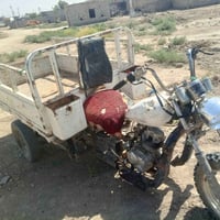 ستوته • برقم • سنويه