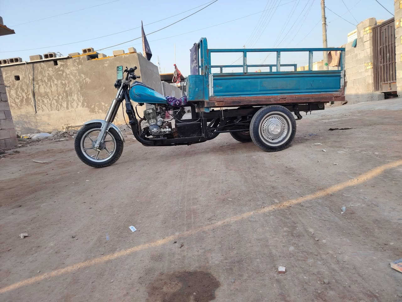 ستوته • بدون أوراق