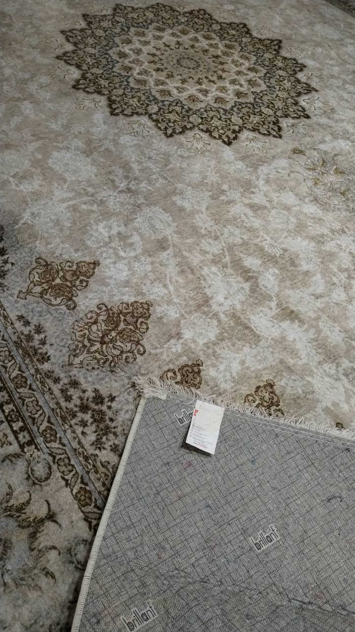 شلع • كله • بيت واحد