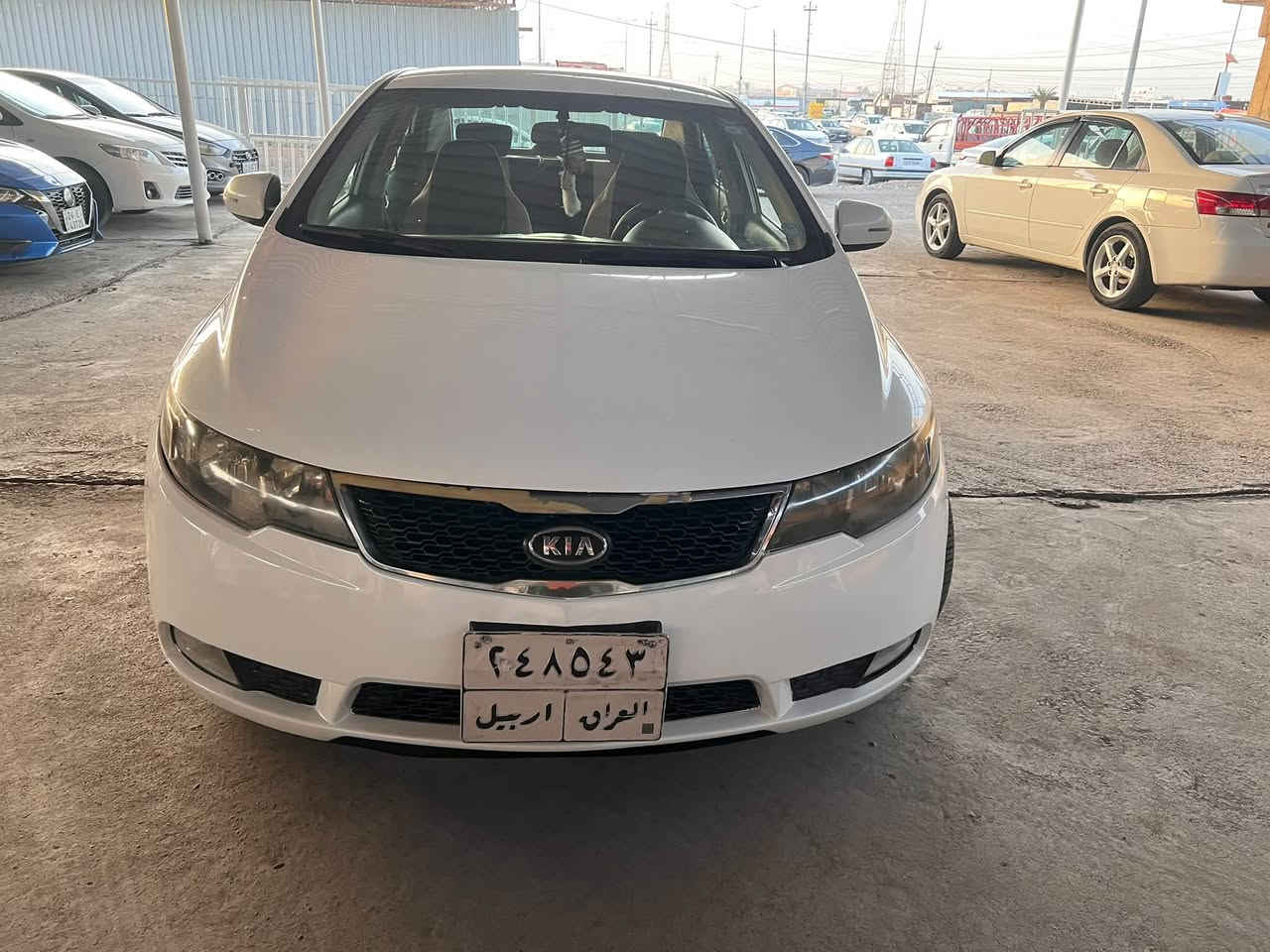 سيراتو • ٢٠١١ • رقم اربيل