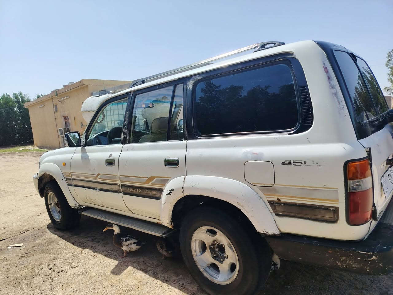 سلام عليكم لندكروز ليله علوي مديل 92رقم نينوى سياره مال قاصرين أهلها ابو الخصيب محرك فيفيتي 3000ام الكلاص محرك خير من الله تواصل *********** عنوان بصره زبير سعر 28 بيهه مجال
