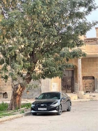 النترا • ٢٠٢٢ • ممشى ١١٠٠٠٠