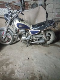 شغاله • فول نعومه • تايرات جديد
