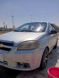 آفيو ٢٠١٣ • باسمي • رقم بغداد