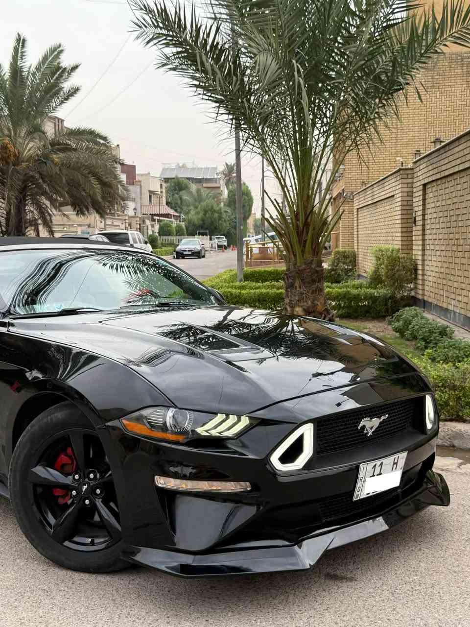 موستانگ ايكوبوست • ٢٠١٩ • رقم بغداد
