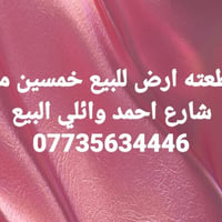 شارع احمد وائلي • ٥٠م • أرض