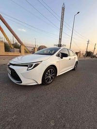 كورلا ٢٠٢٥ • فول • كفالة